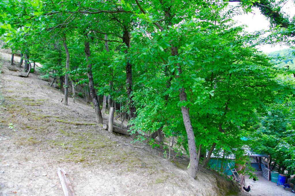 Agriturismo Biologico Villa Rosa Monte Guiduccio Εξωτερικό φωτογραφία