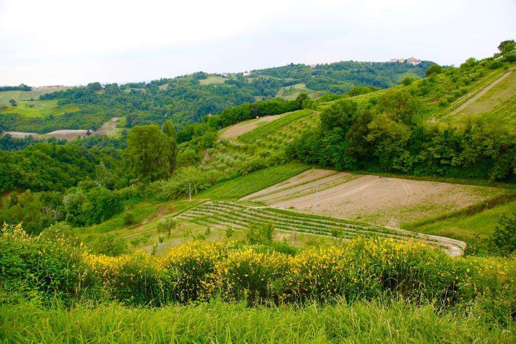 Agriturismo Biologico Villa Rosa Monte Guiduccio Εξωτερικό φωτογραφία