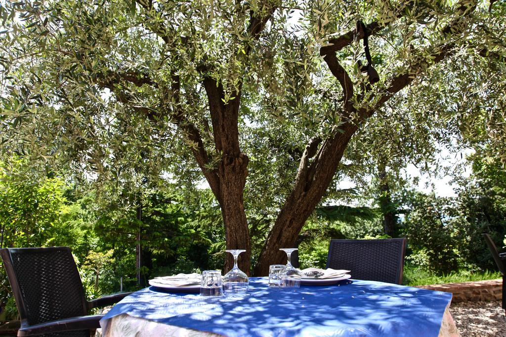 Agriturismo Biologico Villa Rosa Monte Guiduccio Εξωτερικό φωτογραφία