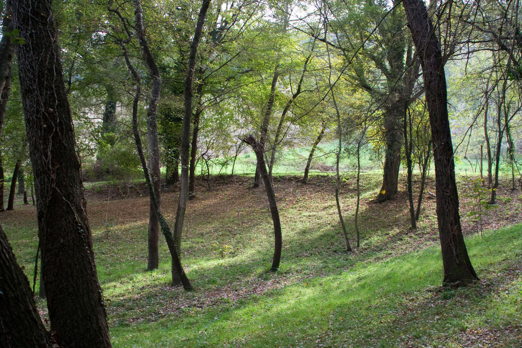Agriturismo Biologico Villa Rosa Monte Guiduccio Εξωτερικό φωτογραφία