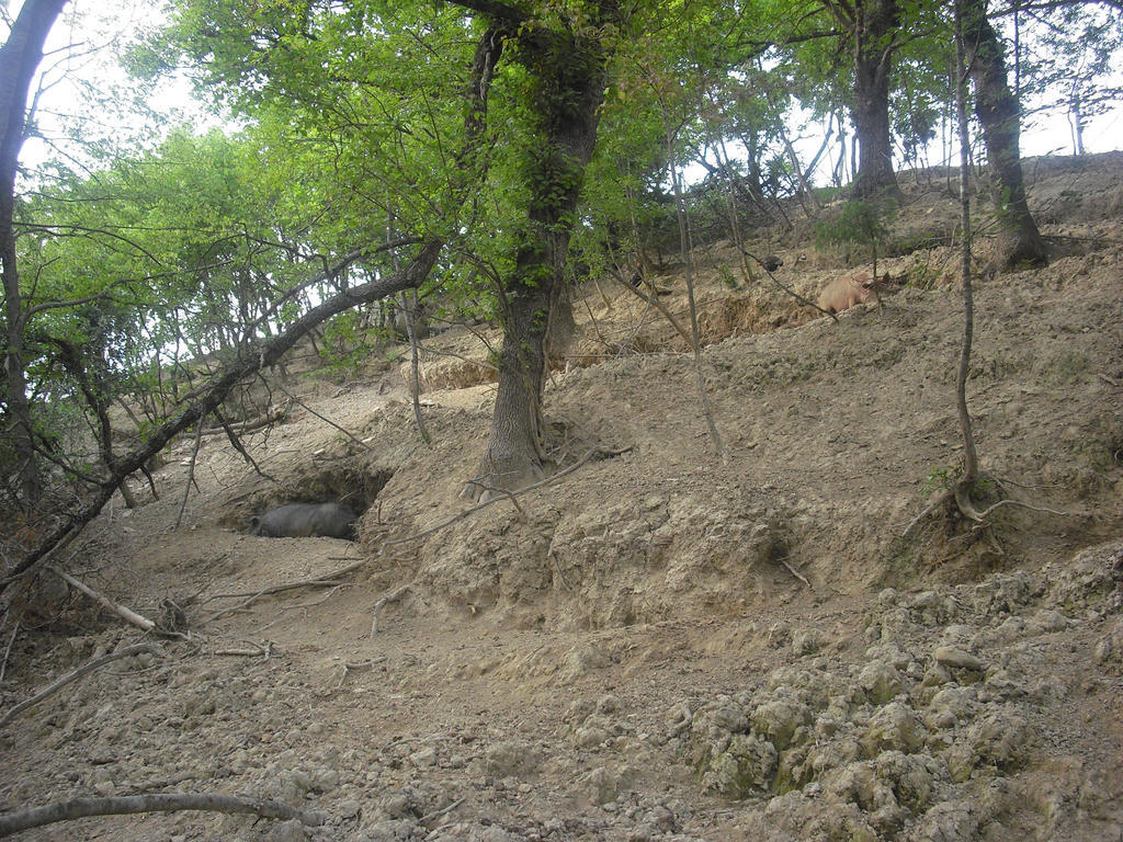 Agriturismo Biologico Villa Rosa Monte Guiduccio Εξωτερικό φωτογραφία