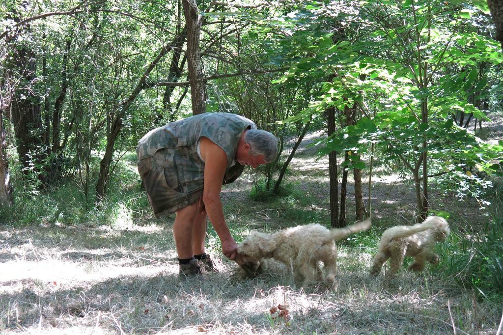 Agriturismo Biologico Villa Rosa Monte Guiduccio Εξωτερικό φωτογραφία